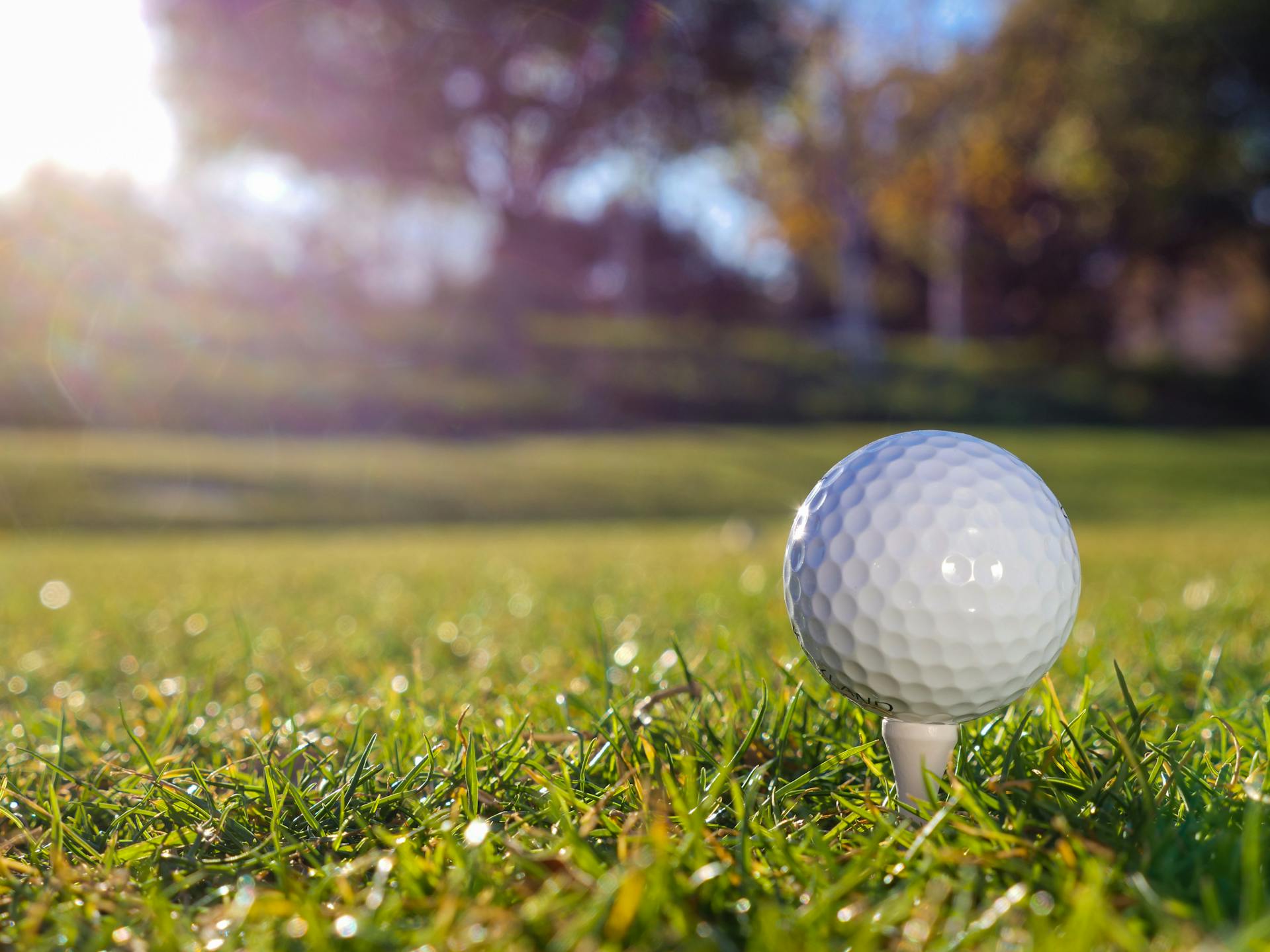 Golf betting: choosing tournament winners and top finishers